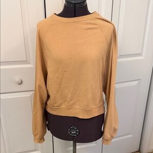 American Eagle Outfitters Tan Crop Top